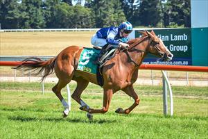 Toogoodfortoorak & Teo Nugent, Colac, Feb 2023